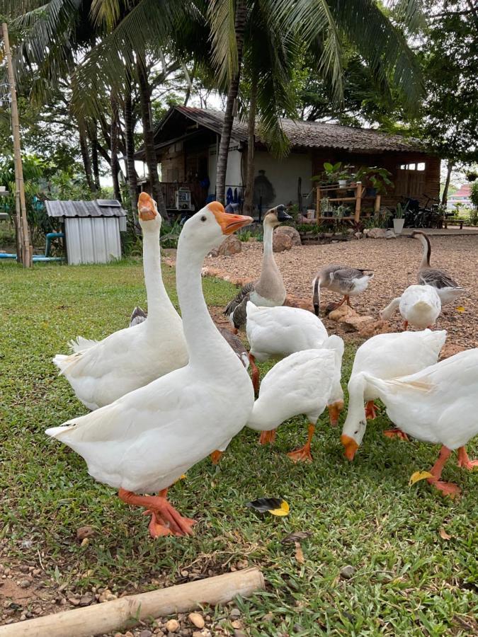 Suanglangna Apartamento Phrae Exterior foto